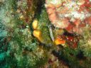 Filename=DSC00030.JPG
Filesize=473KiB
Dimensions=1024x768
Date added=Aug 05, 2014 DSC00030.JPG