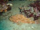 Filename=DSC00035.JPG
Filesize=484KiB
Dimensions=1024x768
Date added=Aug 05, 2014 DSC00035.JPG