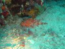 Filename=DSC00037.JPG
Filesize=501KiB
Dimensions=1024x768
Date added=Aug 05, 2014 DSC00037.JPG