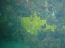 Filename=DSC00039.JPG
Filesize=457KiB
Dimensions=1024x768
Date added=Aug 05, 2014 DSC00039.JPG