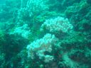 DSC00050.JPG