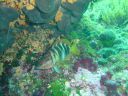 DSC00055.JPG