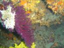 DSC00067.JPG
