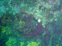 DSC00070.JPG
