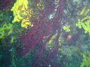DSC00072.JPG