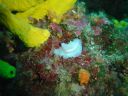 DSC00075.JPG