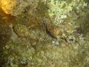 DSC00084.JPG