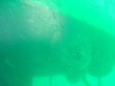 DSC00137.JPG