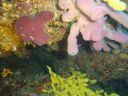 DSC00162.JPG