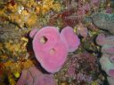 DSC00164.JPG