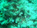 DSC00169.JPG