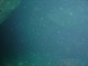 DSC00175.JPG