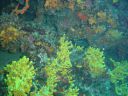 DSC00192.JPG