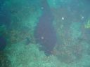 DSC00222.JPG