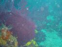 DSC00223.JPG