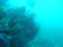 DSC00224.JPG