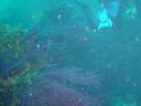 DSC00225.JPG