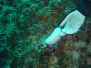 DSC00226.JPG