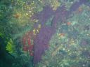 DSC00227.JPG