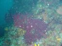 DSC00229.JPG