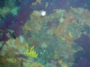 DSC00232.JPG