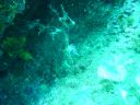 DSC00234.JPG