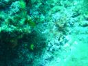 DSC00235.JPG