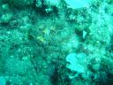 DSC00236.JPG