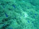 DSC00237.JPG