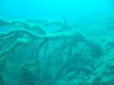 DSC00241.JPG