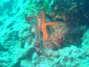 DSC00250.JPG