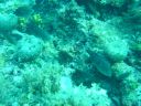 DSC00252.JPG