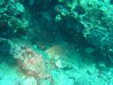 DSC00253.JPG