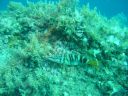 DSC00254.JPG