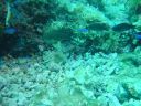 DSC00257.JPG