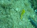 DSC00275.JPG