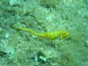 DSC00278.JPG