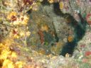 DSC00280.JPG
