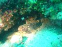 DSC00281.JPG