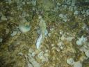 DSC00287.JPG