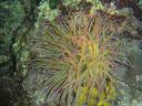 DSC00293.JPG