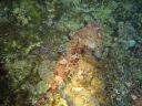 DSC00294.JPG