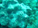DSC00296.JPG