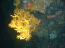 DSC00299.JPG