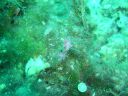 DSC00305.JPG