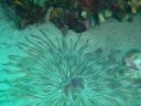 DSC00307.JPG
