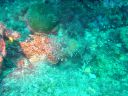 DSC00314.JPG