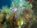 DSC00317.JPG