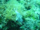 DSC00318.JPG