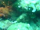 DSC00322.JPG